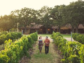 Strolling through a vineyard in Texas Wine Country