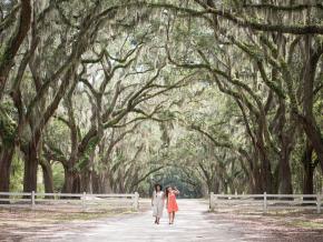 Strolling the oak-lined pathway at Wormsloe State Historic Site in Savannah, Georgia Strolling the oak-lined pathway at Wormsloe State Historic Site in Savannah, Georgia