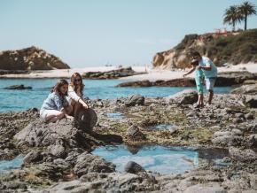 現地のビーチの潮溜まりで海の生き物探し 現地のビーチの潮溜まりで海の生き物探し