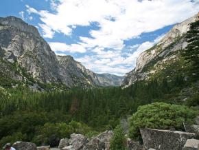 Vista do bosque de cedros no Kings Canyon National Park