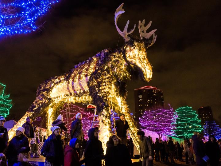 Un alce de neón en HoliDazzle