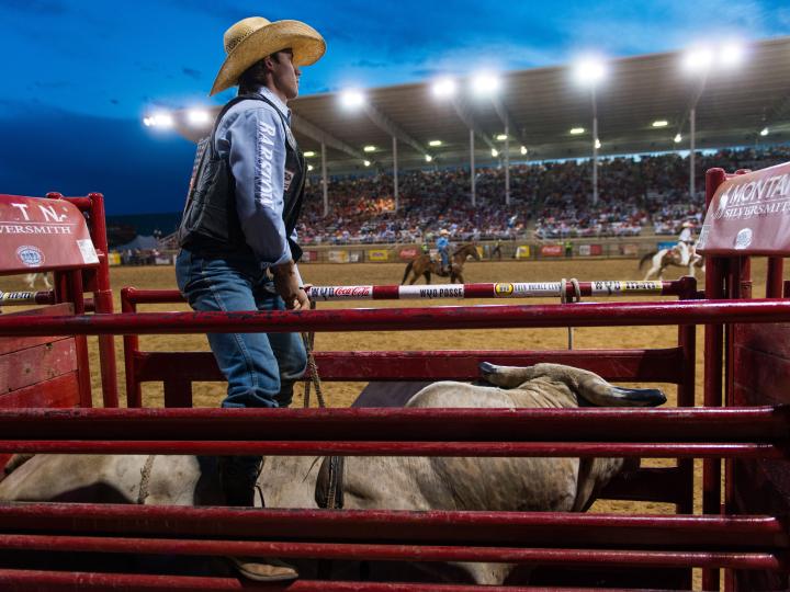 谢里登 WYO 牛仔竞技大会 (Sheridan WYO Rodeo)
