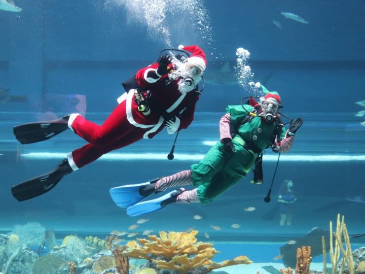 Snorkelers in seasonal costumes at Merry Days by the Bay in Downtown Corpus Christi, Texas