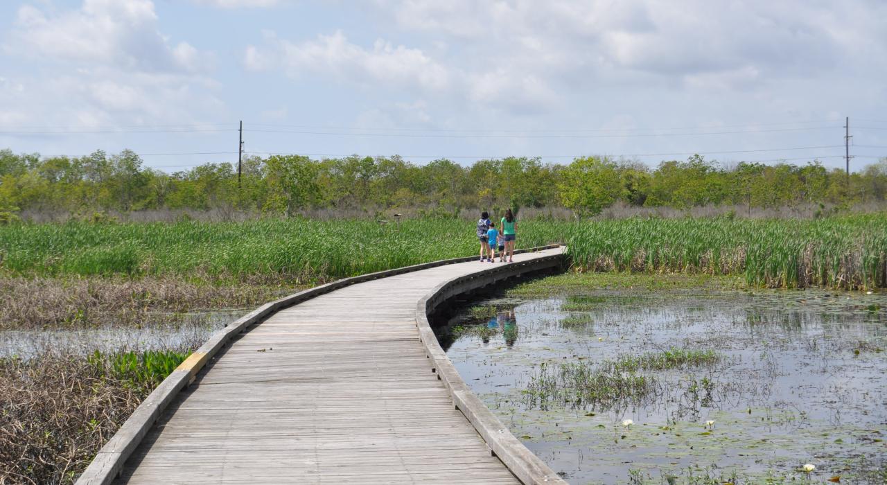 Spaziergang im Cameron Prairie National Wildlife Refuge in Bell City, Louisiana