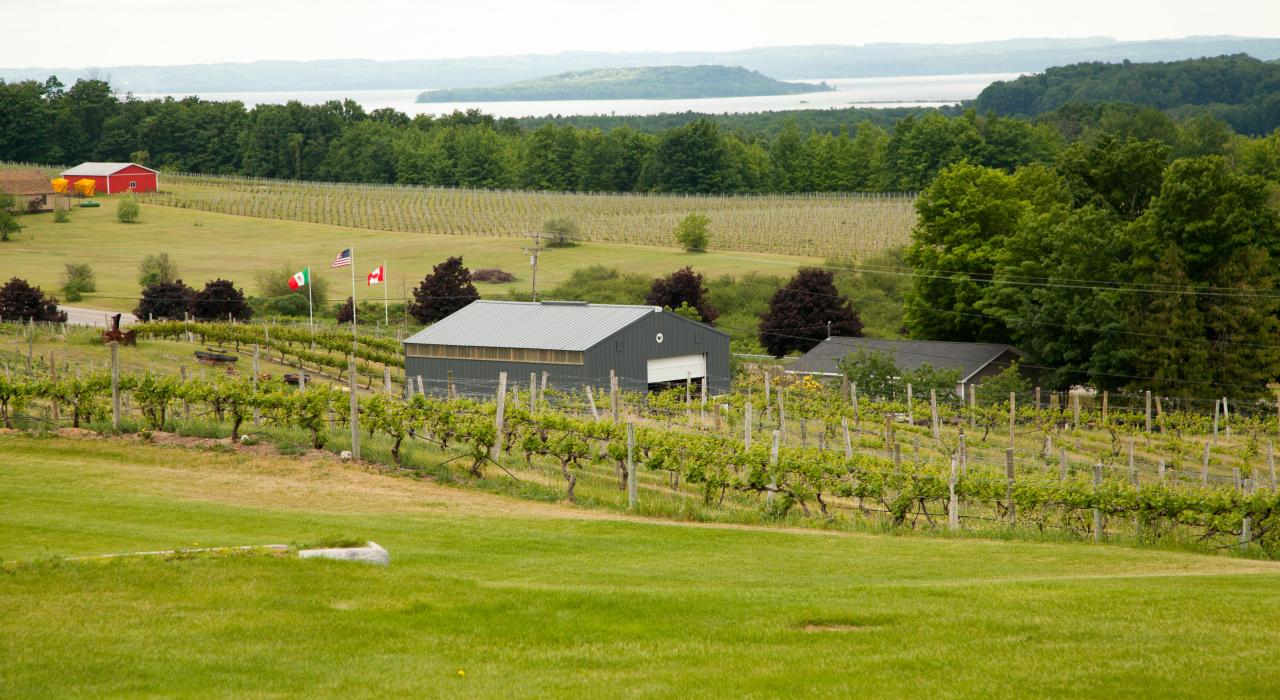 Exploring wine country in Traverse City, Michigan