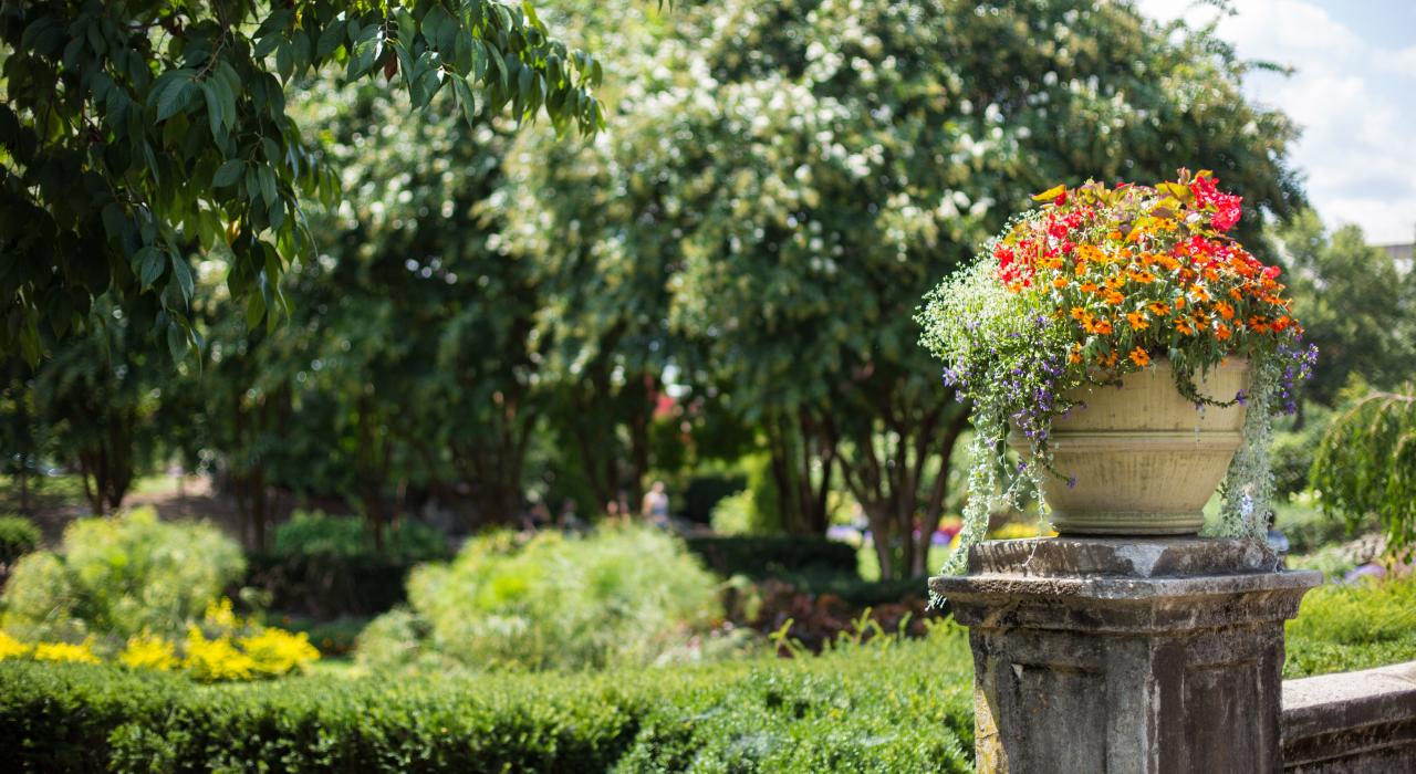 Flores en Cheekwood Botanical Gardens en Nashville, Tennessee