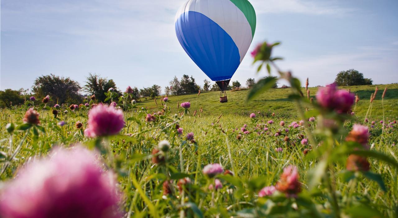 Hot-air balloon landing in a grassy field of wildflowers