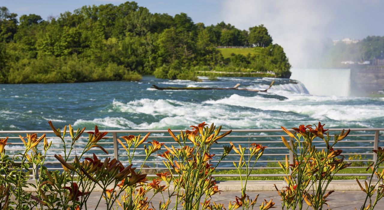 Niagara Falls State Park