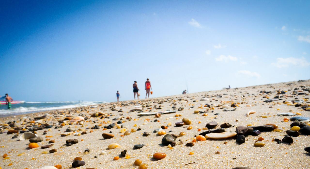 Wandering a stretch of beach in search of beautiful seashells and rocks