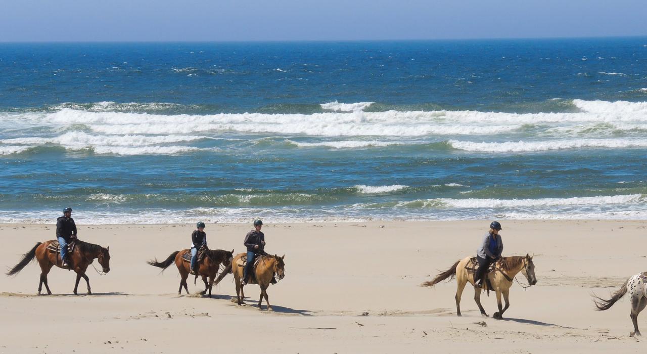 Horseback riding on the beach with C&M Stables in Florence