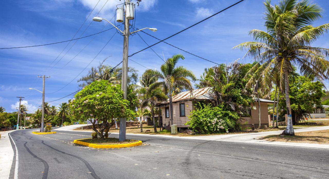 Casas históricas e folhagens tropicais ao longo de uma rua pitoresca da cidade