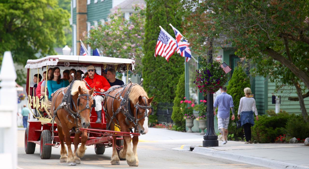 Carriage tour of the island, where there are no cars