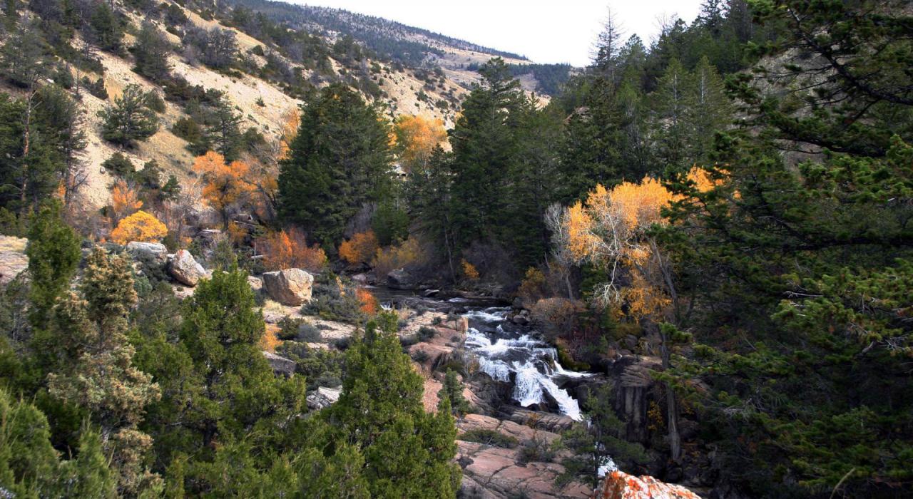 Shell Falls Interpretive Site in Wyoming’s Bighorn National Forest