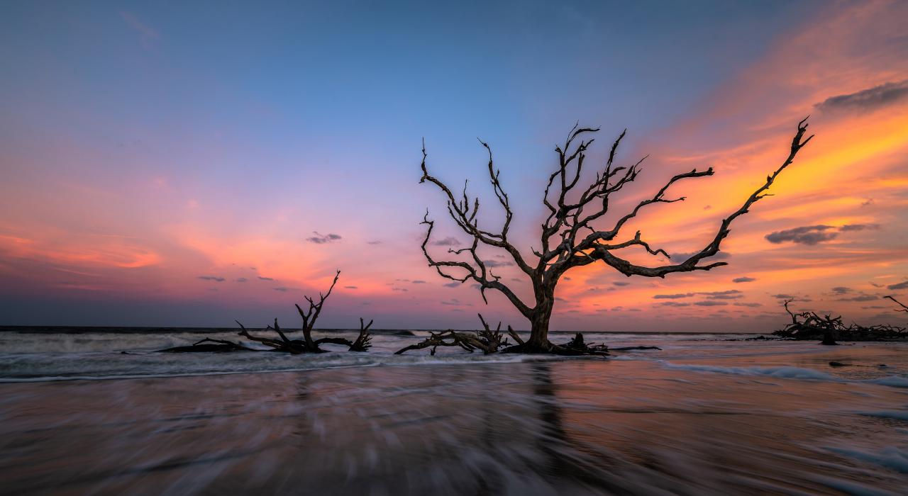 Sonnenaufgang am Driftwood Beach auf Jekyll Island, Georgia