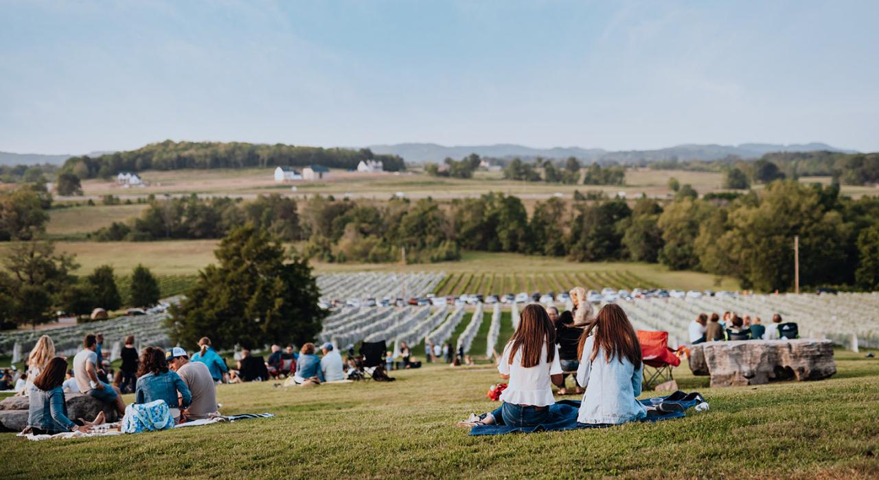 그림같이 아름다운 애링턴 빈야드에서 보내는 오후 시간