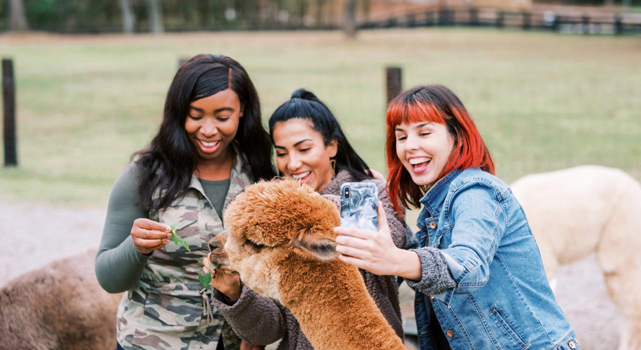 미슬토 팜의 친절한 주민들 만나기