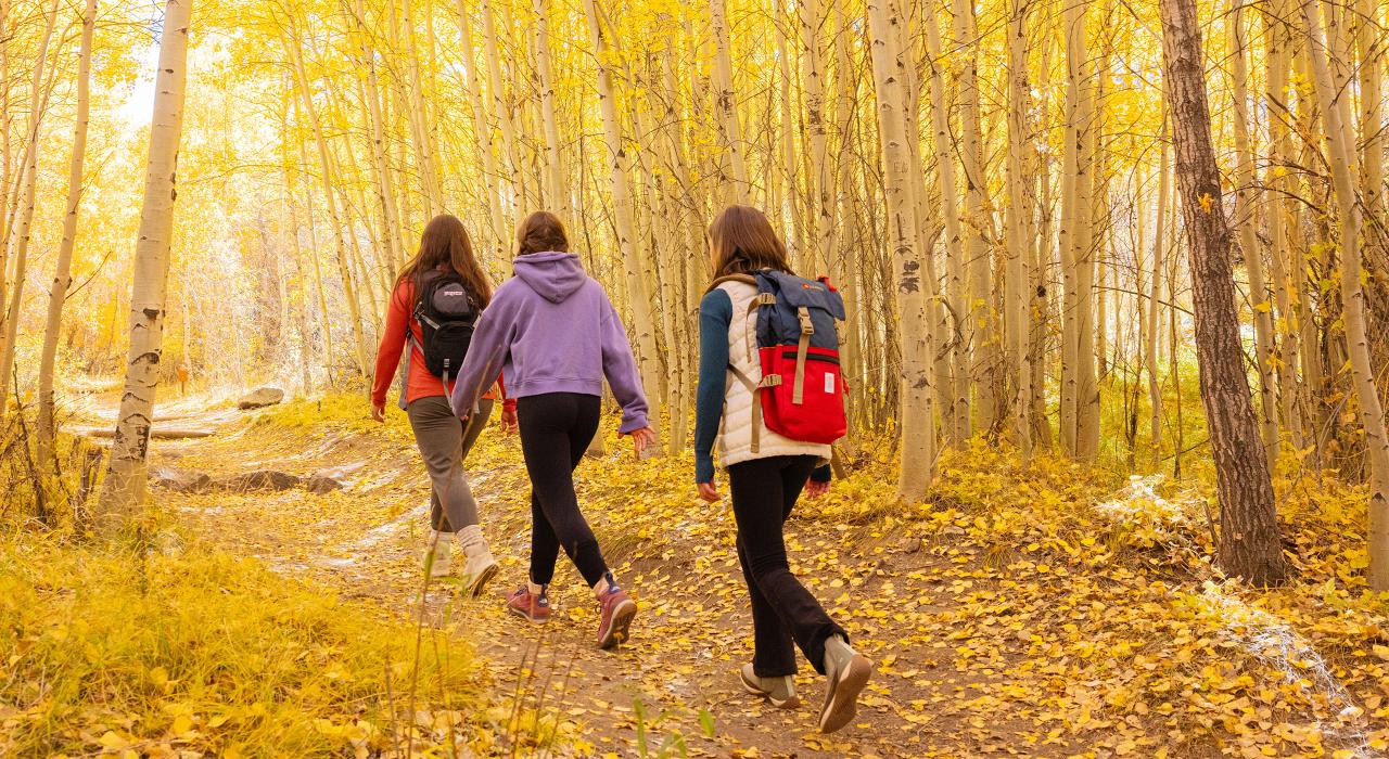 모스카 패스 트레일에서 멋진 풍경을 감상하여 하이킹 하기